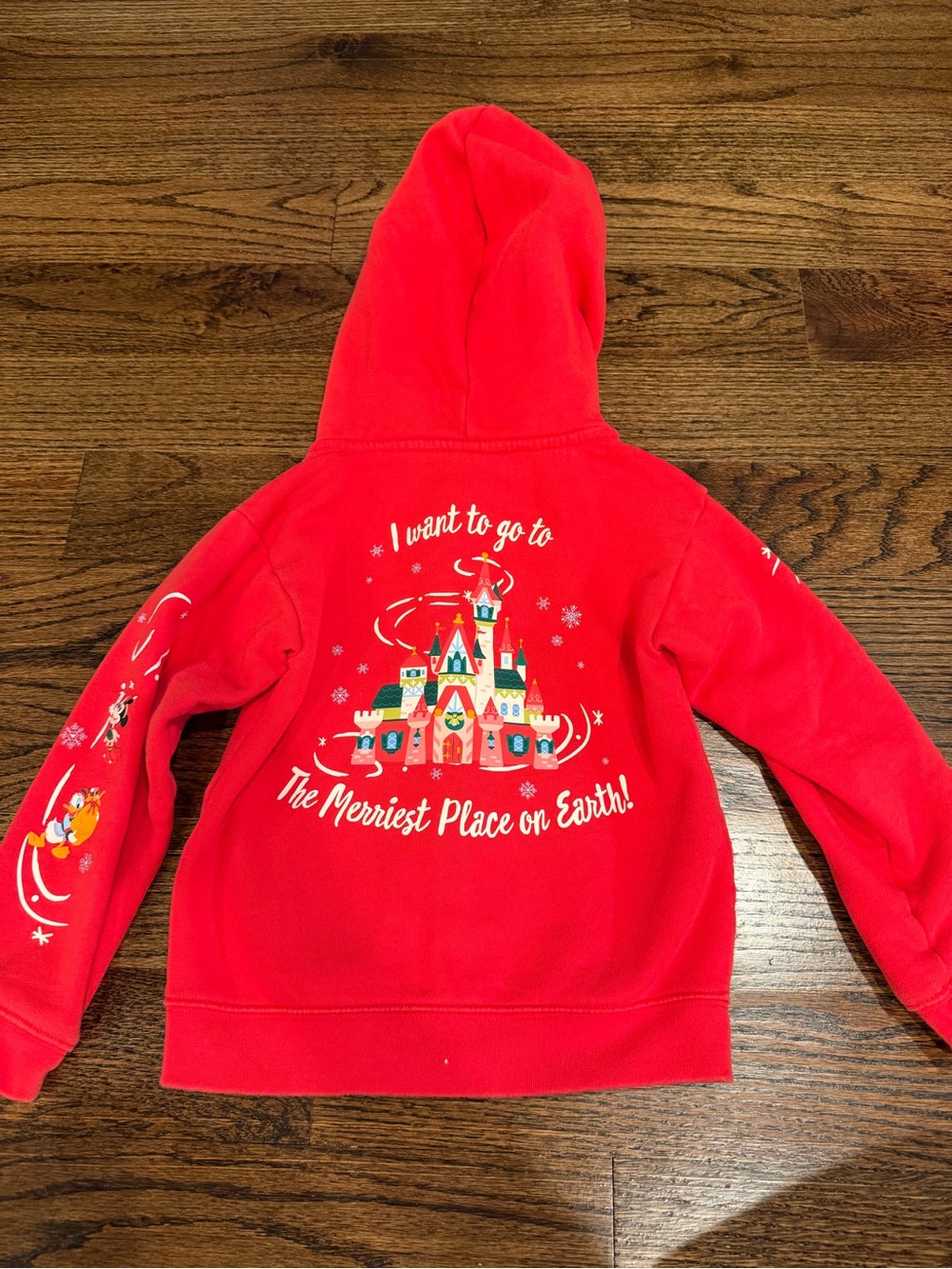 Walt Disney World Christmas hoodie! ❤️